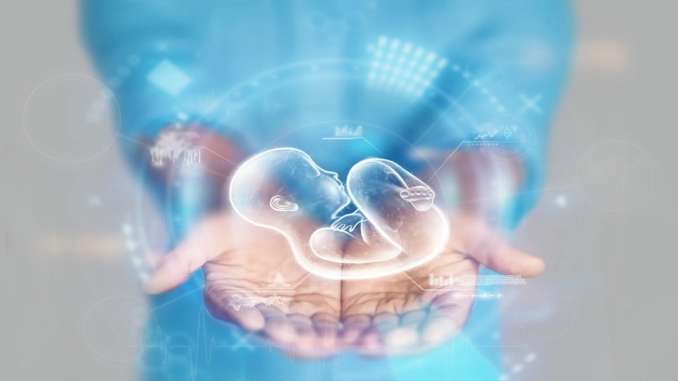 لانه گزینی جنین چیست و چه علائمی دارد؟